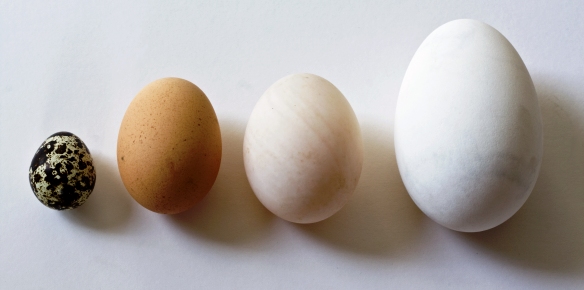 A cukorbeteg ehet egy tojást? A strucctojásokról. A csirke- és fürjtojás összehasonlító jellemzői